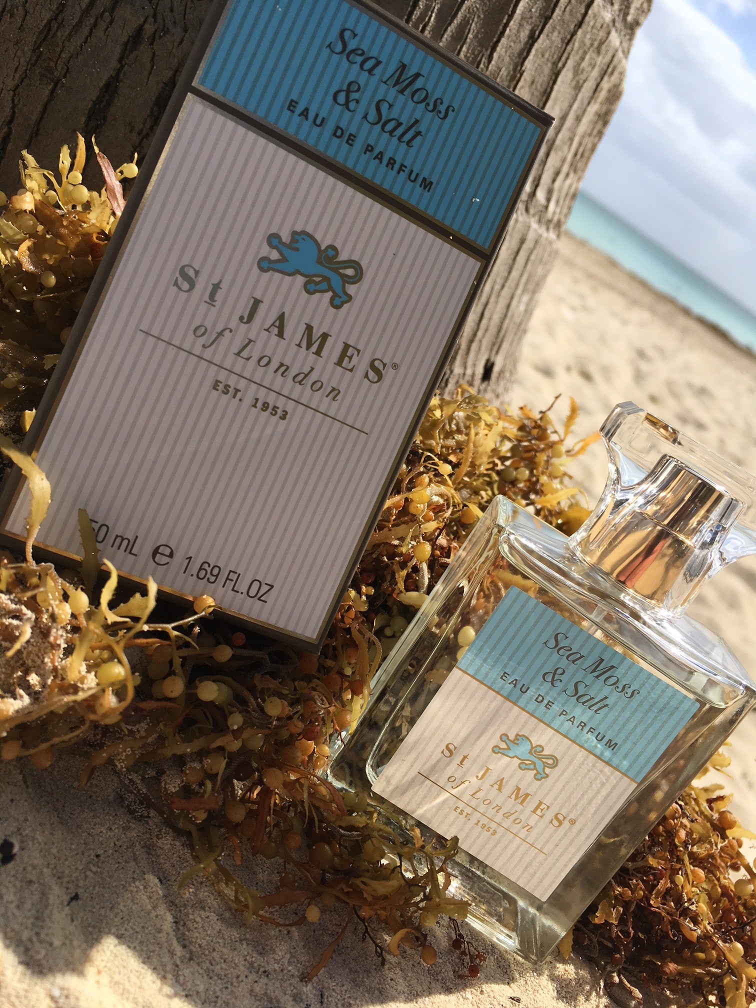 Sea Moss & Salt Parfum (4451467395126)